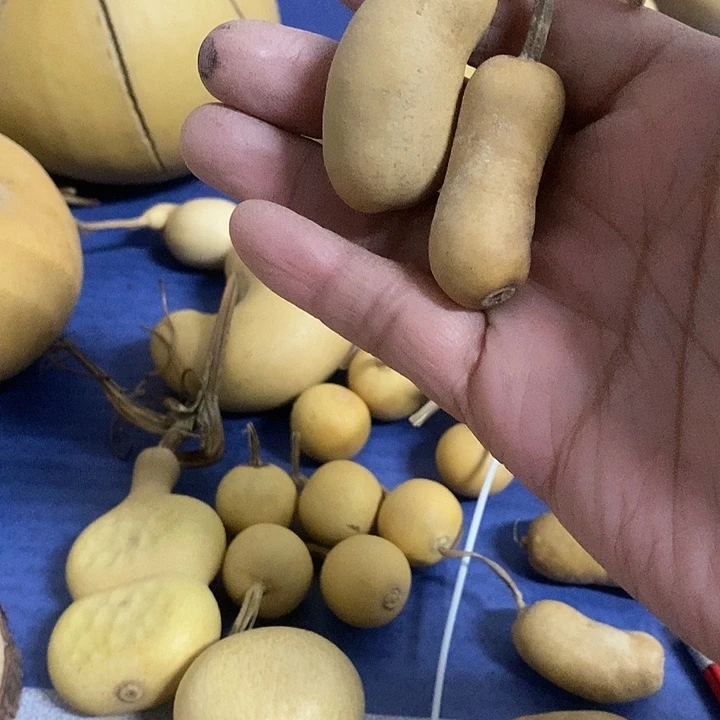 x***宝葫芦手把件摆件葫芦