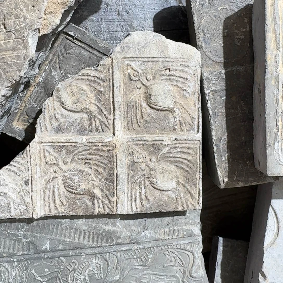 大****）感谢您的支持合作