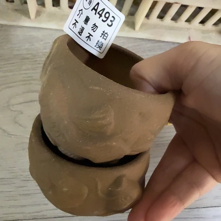 盘柴烧福利漏场福利