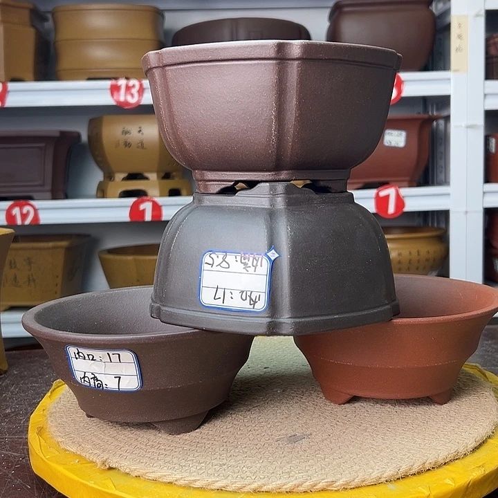 花盆紫砂蛇年大吉