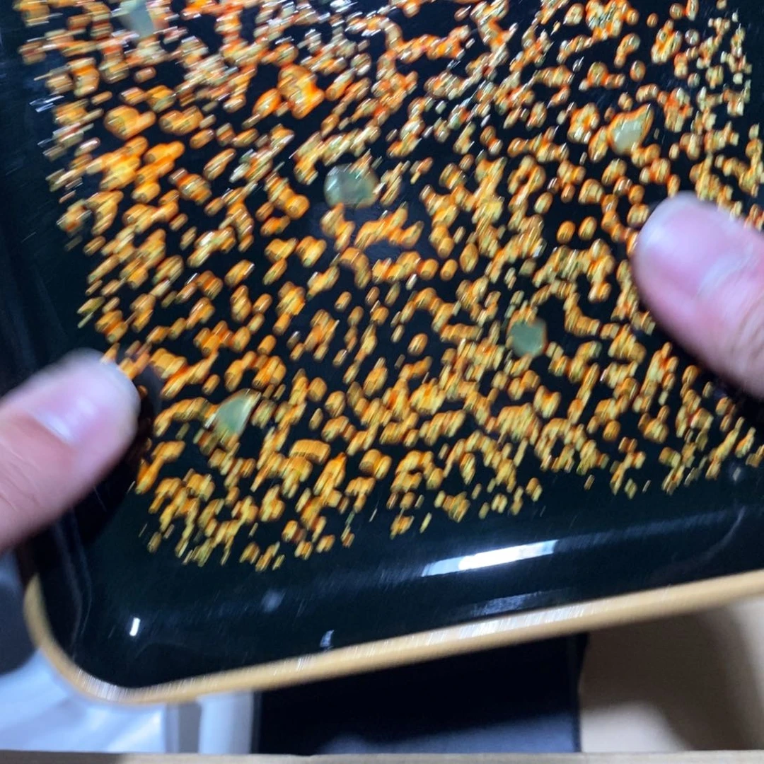 内***g哈哈哈哈哈哈哈哈哈哈