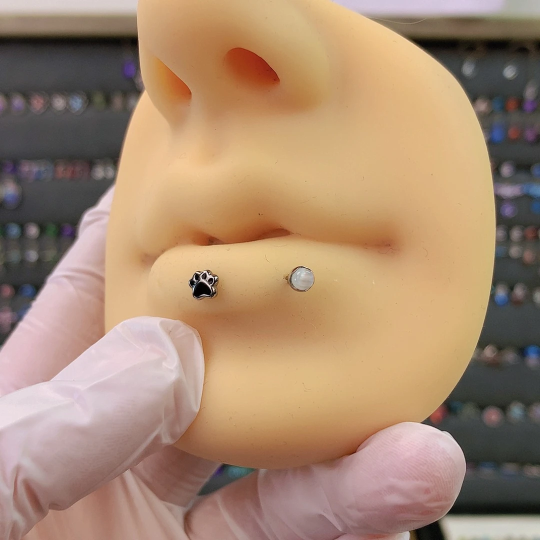 钛合金合金9 两个头