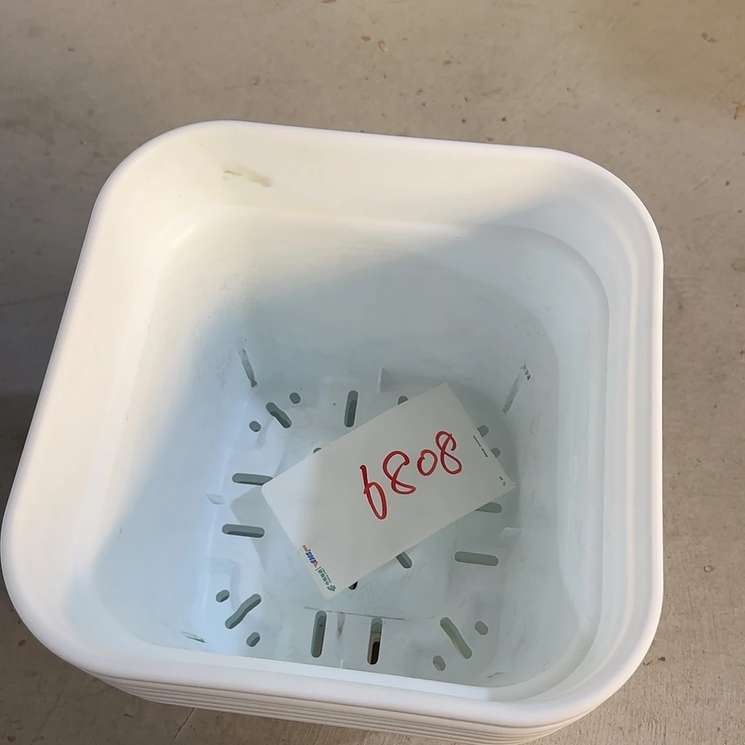 编号6808，方3无托