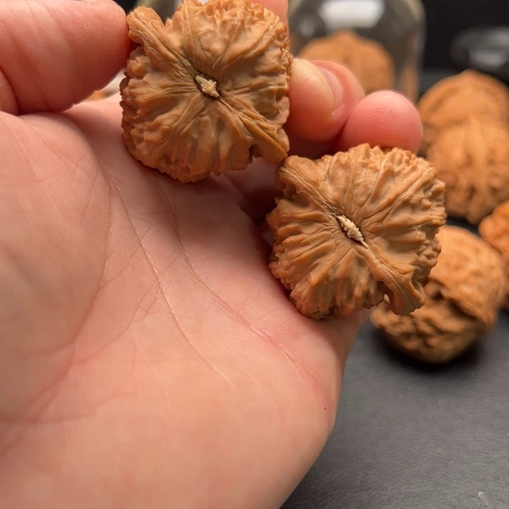 把件文玩核桃H*40白狮子