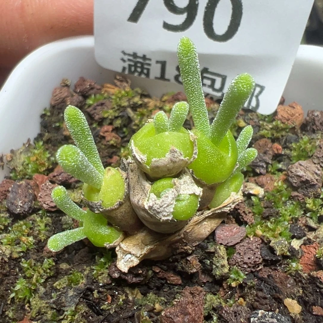 【闪购商品】 790。