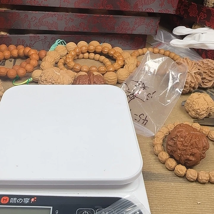 ****上吊坠龙脊菩提啊啊啊啊啊啊啊啊啊7