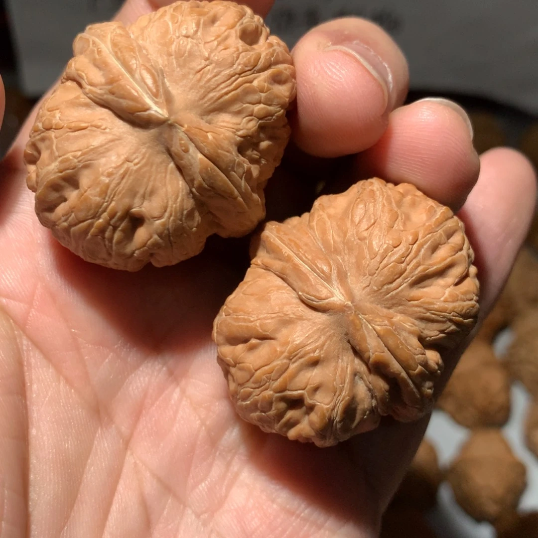 文玩核桃把件元宝开播福利