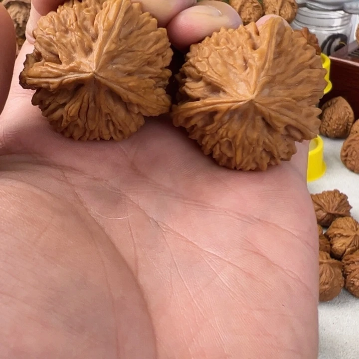 吊坠文玩核桃36尺玉龙粗筋三棱