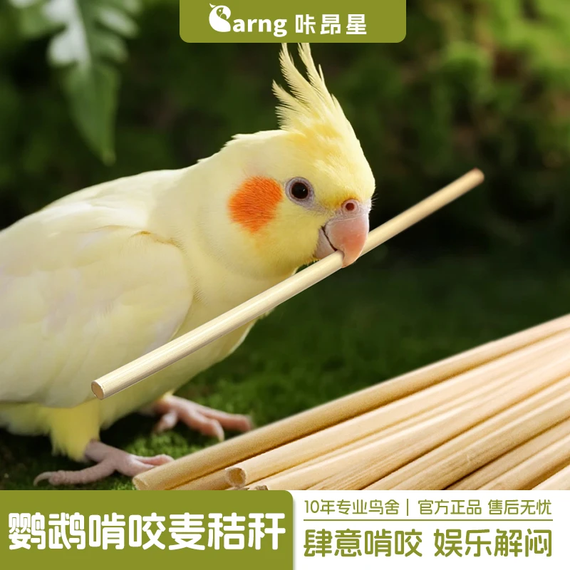 咔昂星鹦鹉玩具大全解闷自嗨啃咬麦秸秆牡丹磨嘴牙用品鸟笼配件