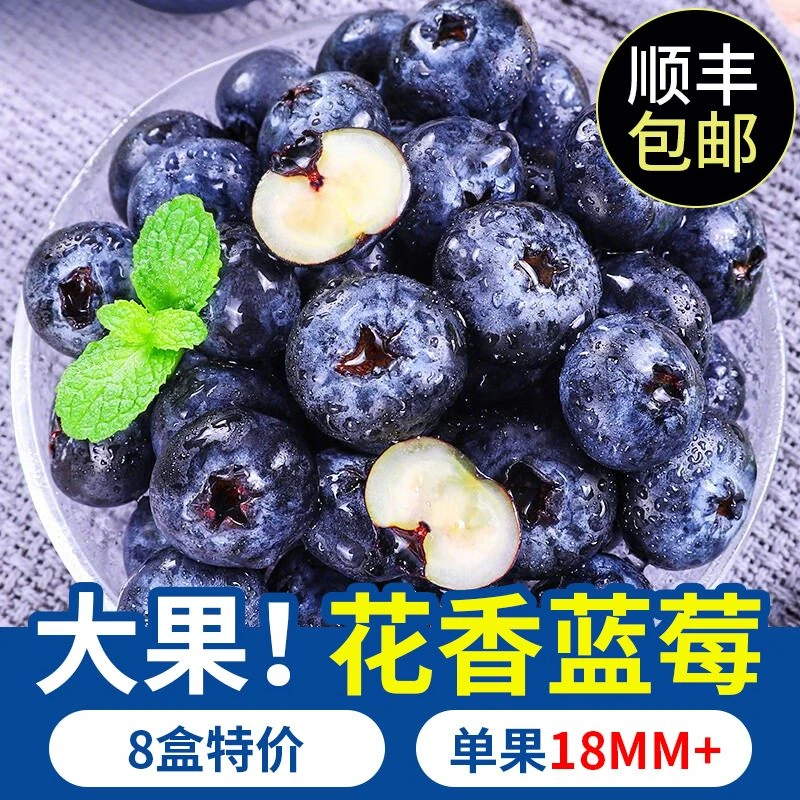 【顺丰包邮】现摘当季新鲜花香蓝莓脆甜爆浆超大果