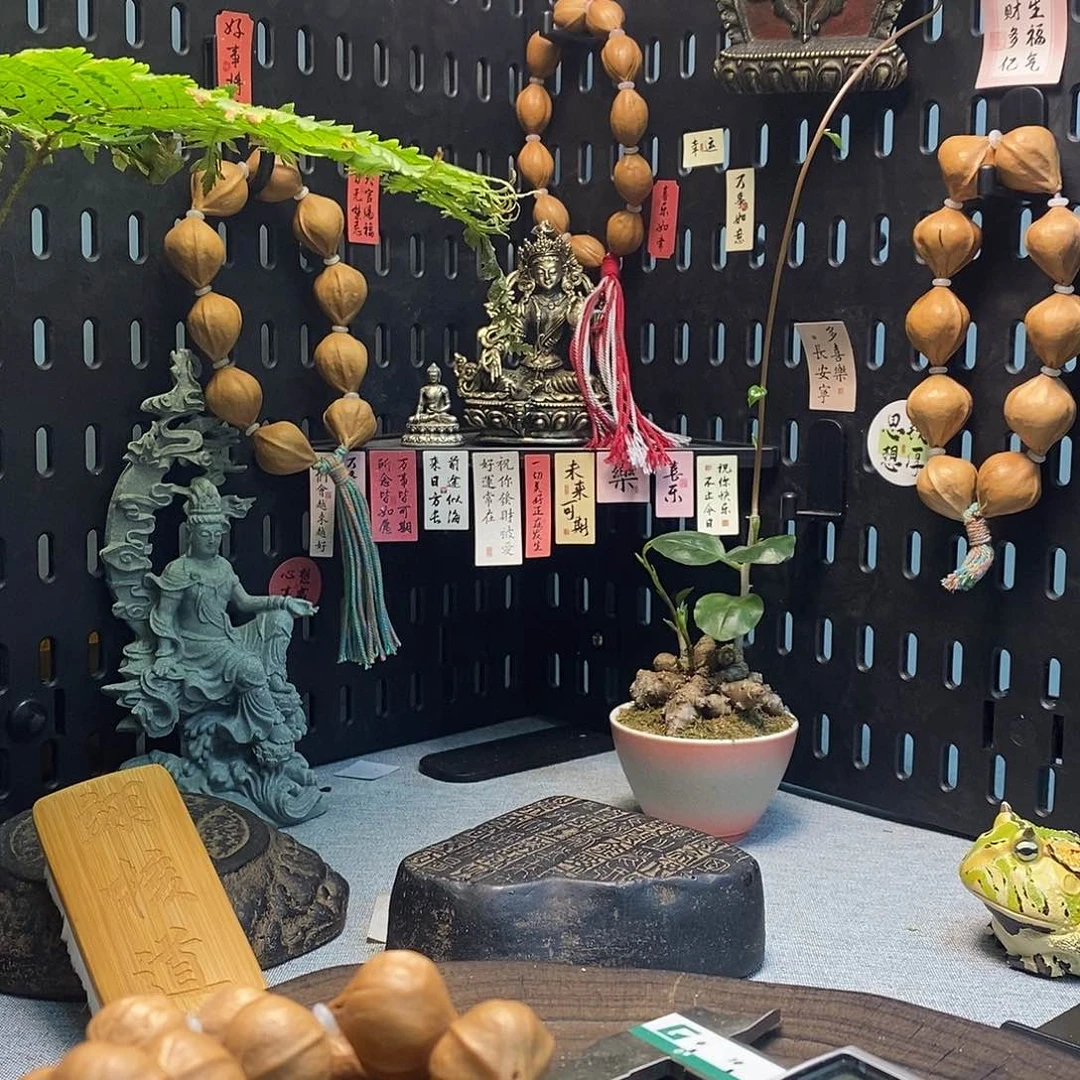 橄榄核手串/手链5566666669888888888