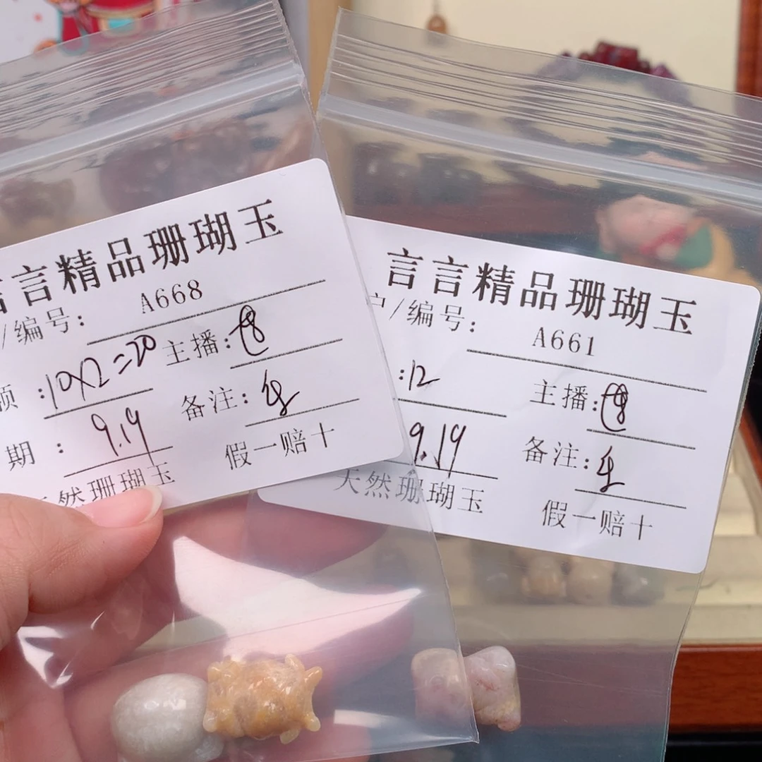 乐***姥未镶嵌颈饰硅化玉