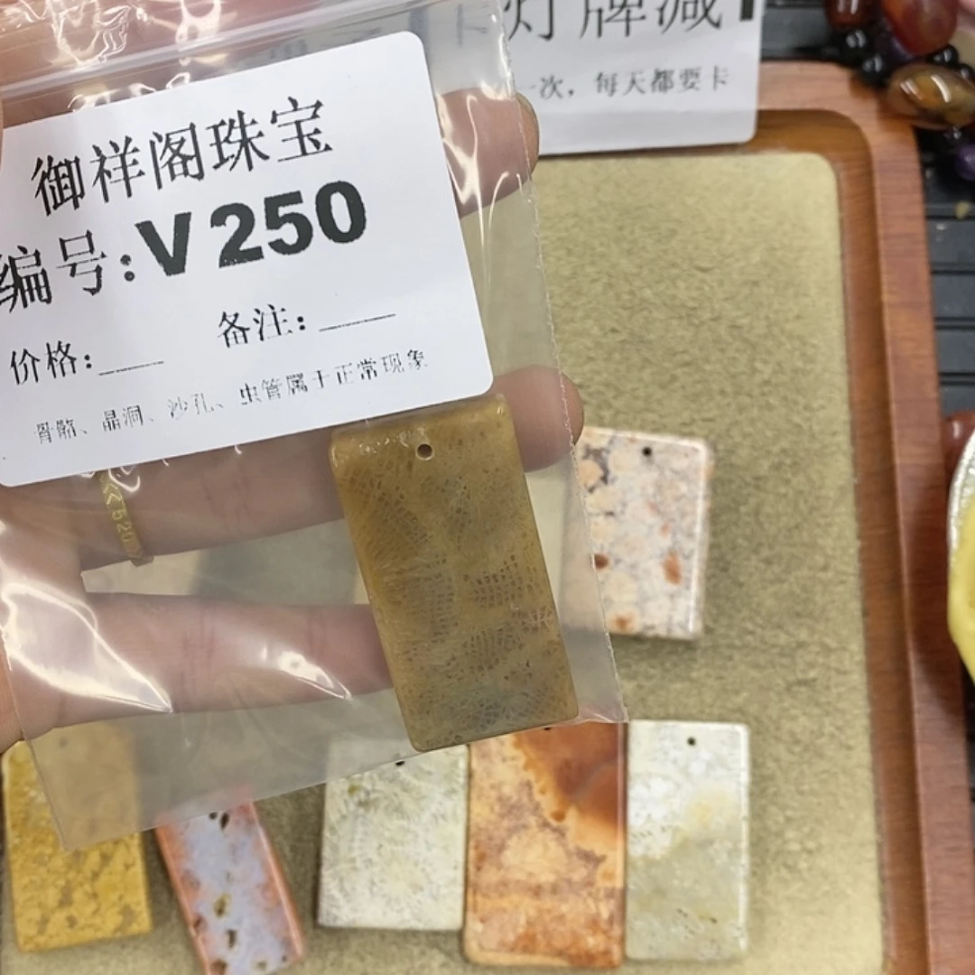 硅化珊瑚（珊瑚玉）颈饰未镶嵌蔚**空