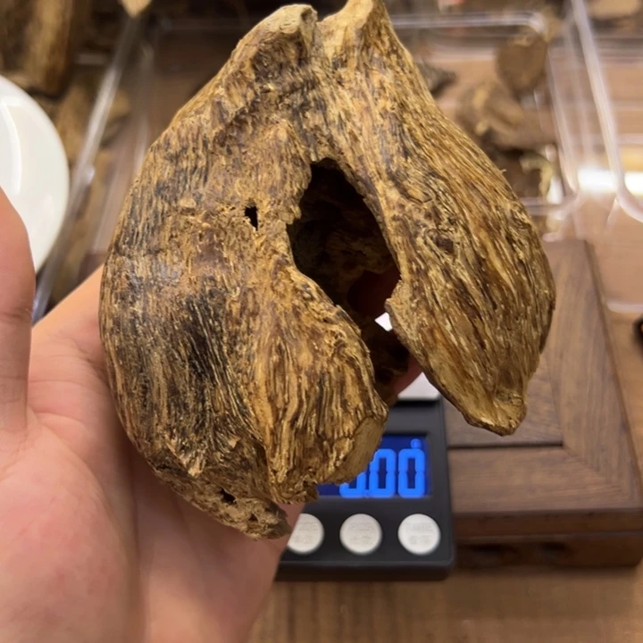 野生香港树心胆57克
