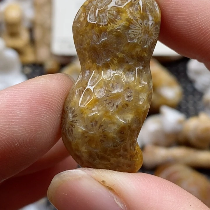 颈饰未镶嵌硅化珊瑚（珊瑚玉）
