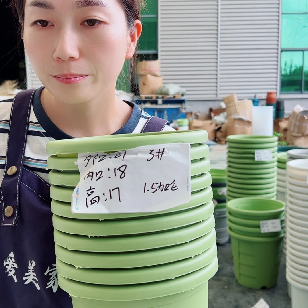 瑕疵四季盆3#果绿10个无托