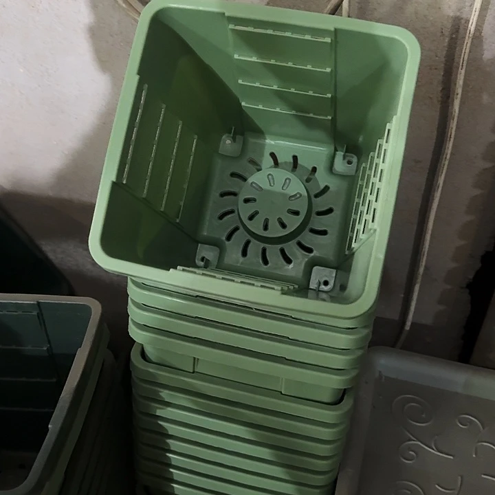 编号103果绿带托10套