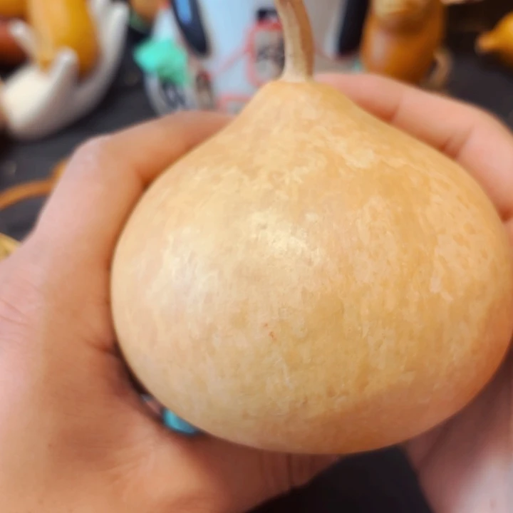 崔*o8888888888898888888