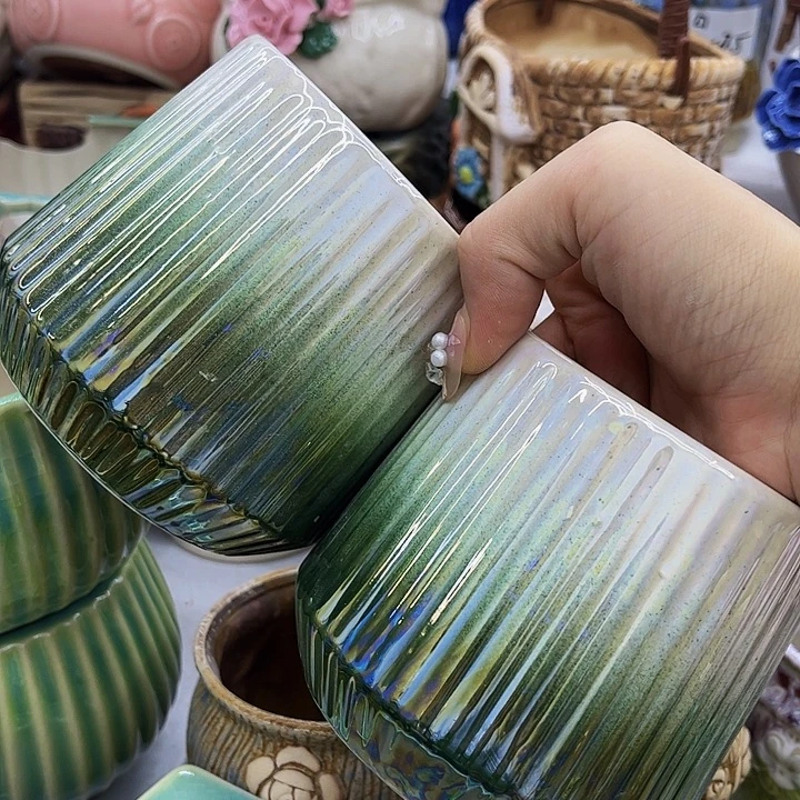 多肉绿植陶瓷花盆9.9包邮，有龙