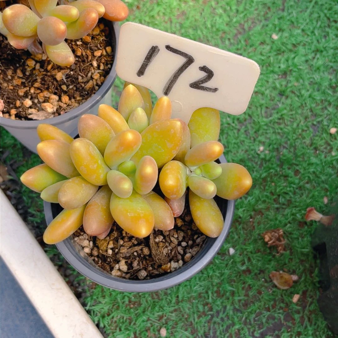 麦*?172fghjjjjjjjjjjnnb