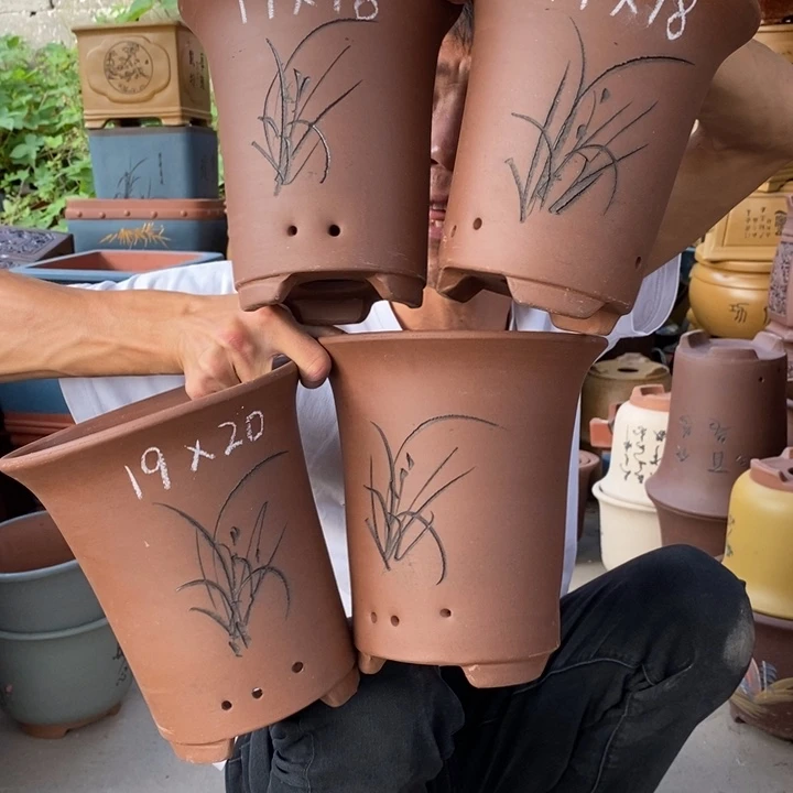 紫砂紫砂紫砂紫砂