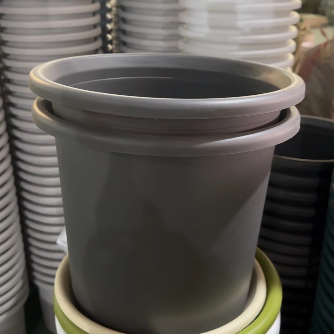 树脂特价6#无拖灰黑5个