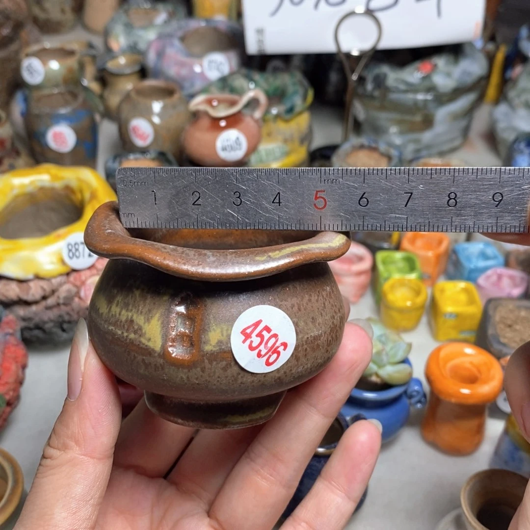 拍5送一个小礼物
