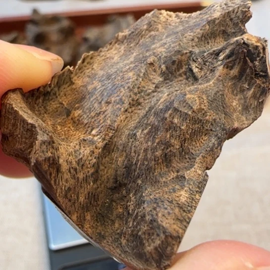 沉香摆件海南霸王岭包头4.1克