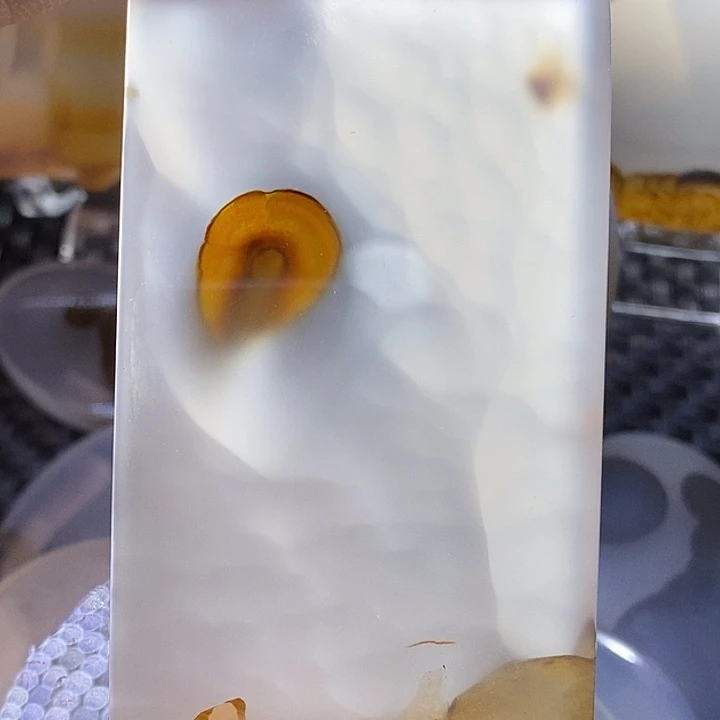 未镶嵌颈饰玛瑙/玉髓梦**裳