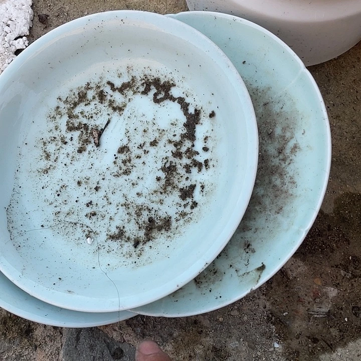 景德镇陶瓷学院副院长