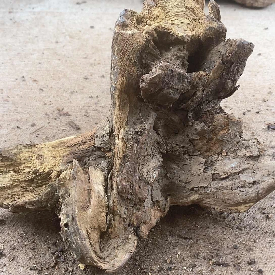 木强黄花梨随形料子