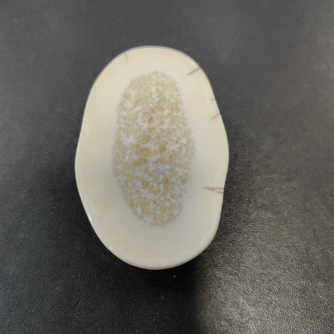 猛犸猛犸虬饼子  WT70