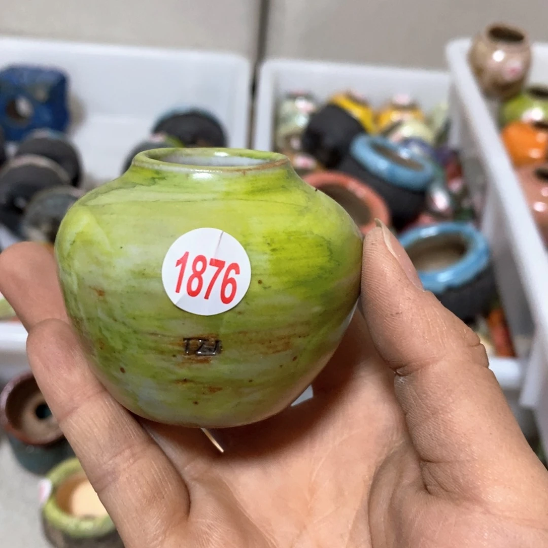 拍5送一个小礼物
