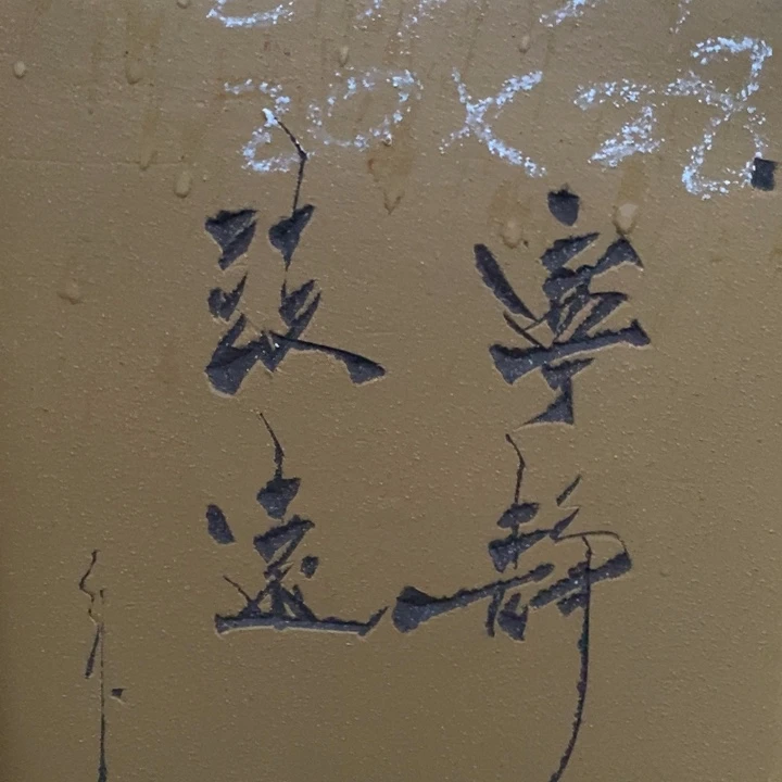 花盆紫砂只顾看电视看