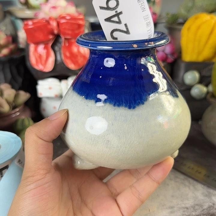 重庆小燕子欢迎大家246