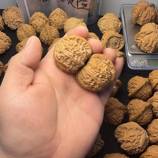 42.5全品无修白狮子