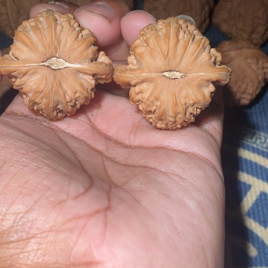 y***e文玩核桃吊坠42尺寸全品无修白狮子