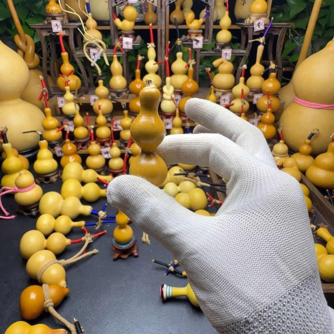 ꒰***꒱发发发发发发发发发发