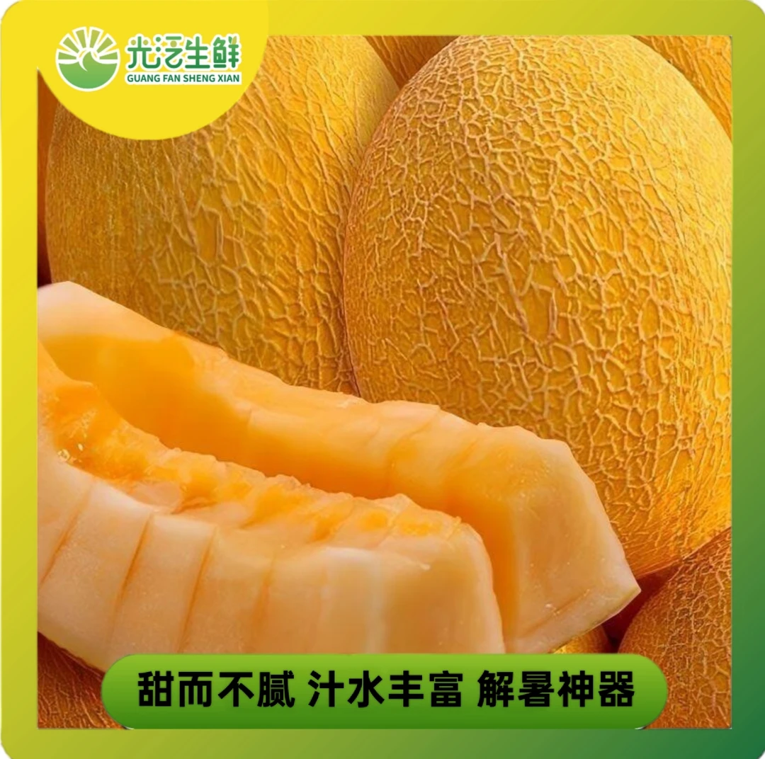 山东黄哈密瓜金色年华产地直发蜜瓜包邮新鲜水果哈密瓜