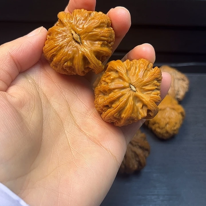 核桃突突突突突突突突突4