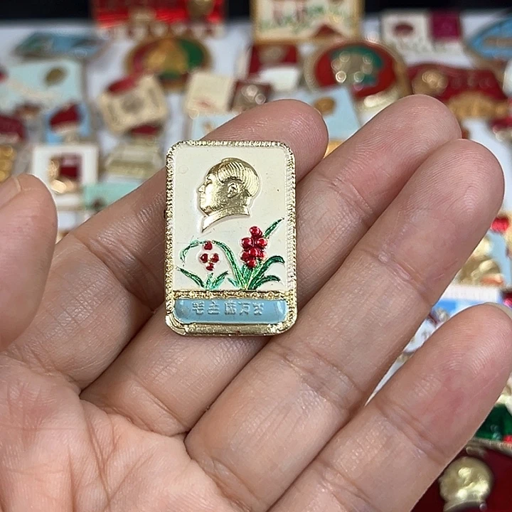 龍***風其他普通金属纪念章
