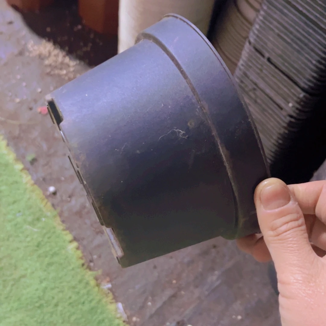 旧口径15 高度9 黑圆盆30个