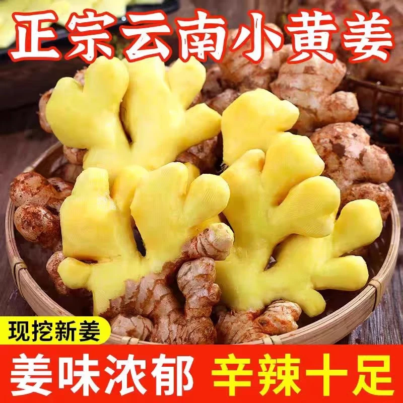 云南高山小黄姜当季现挖沙姜土姜正宗小黄姜菜农自种