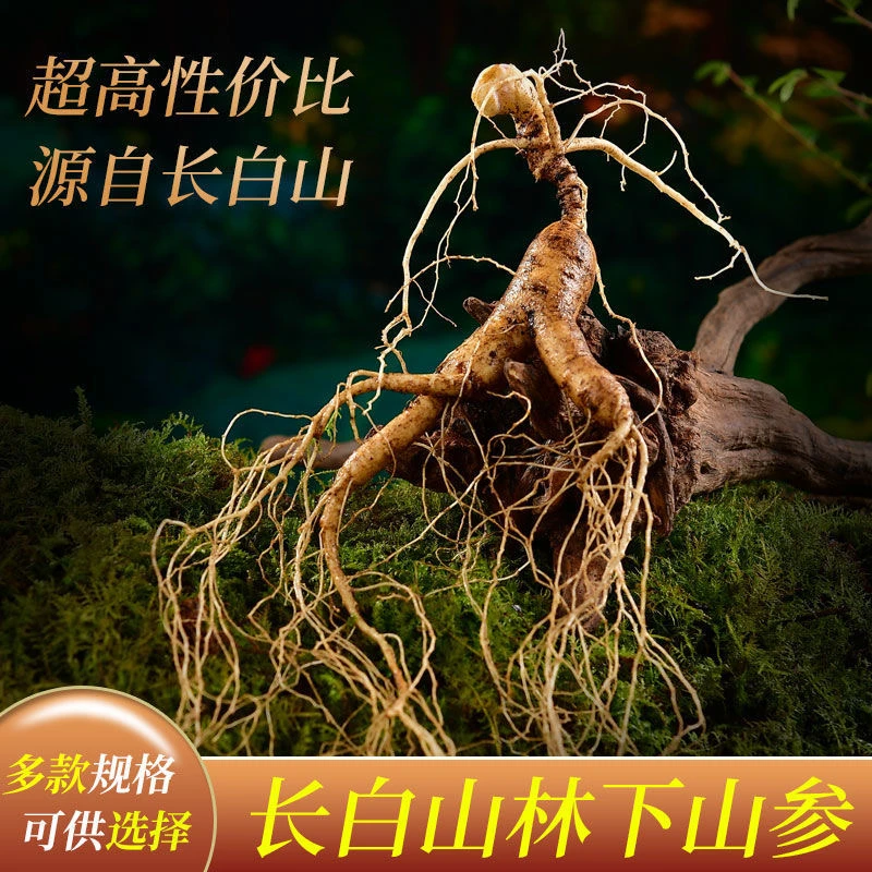 （3）林下参15年鲜参改价链接