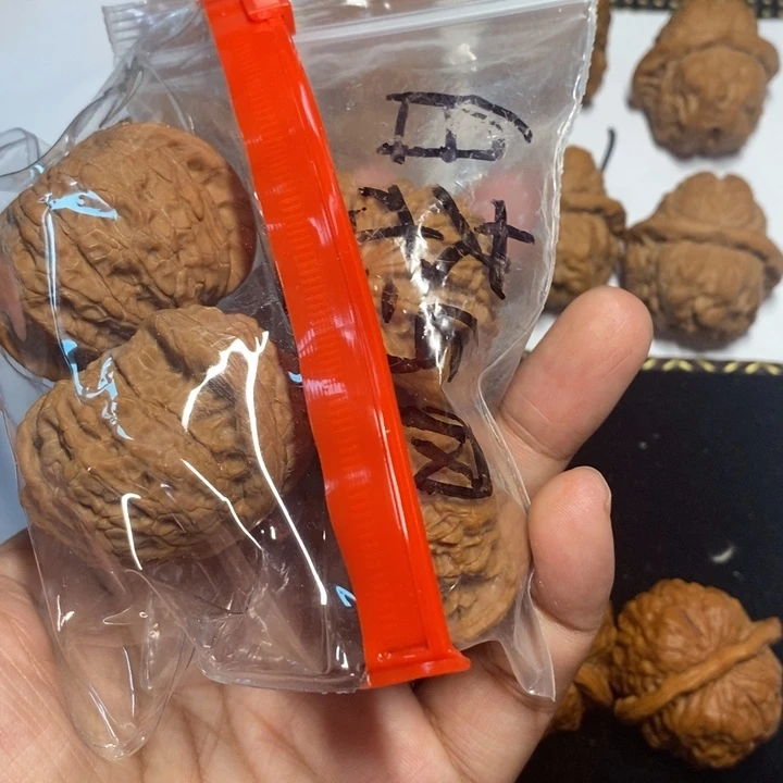 白***风文玩核桃把件白狮子