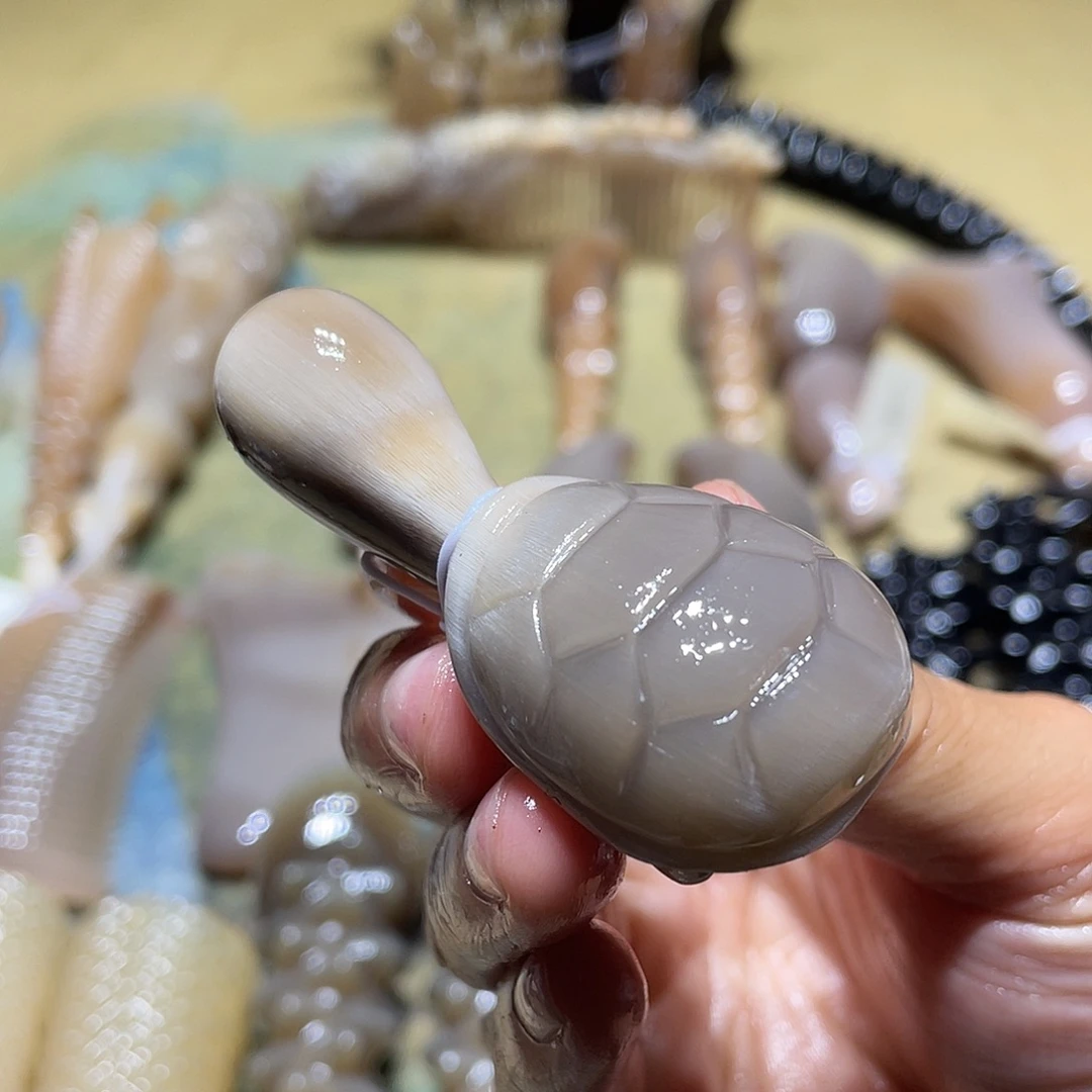 纯天然白水牛龟龟