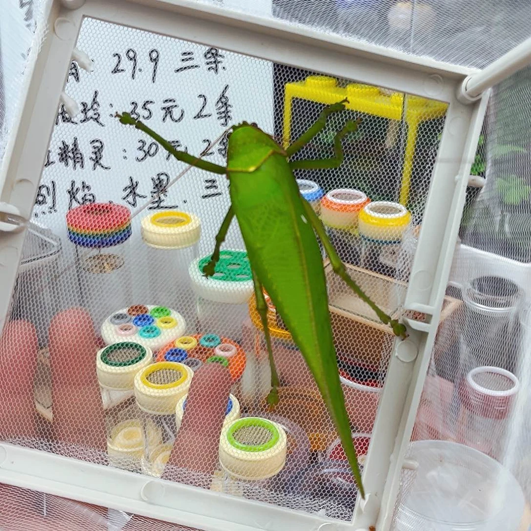 拍拍拍拍拍拍拍拍拍