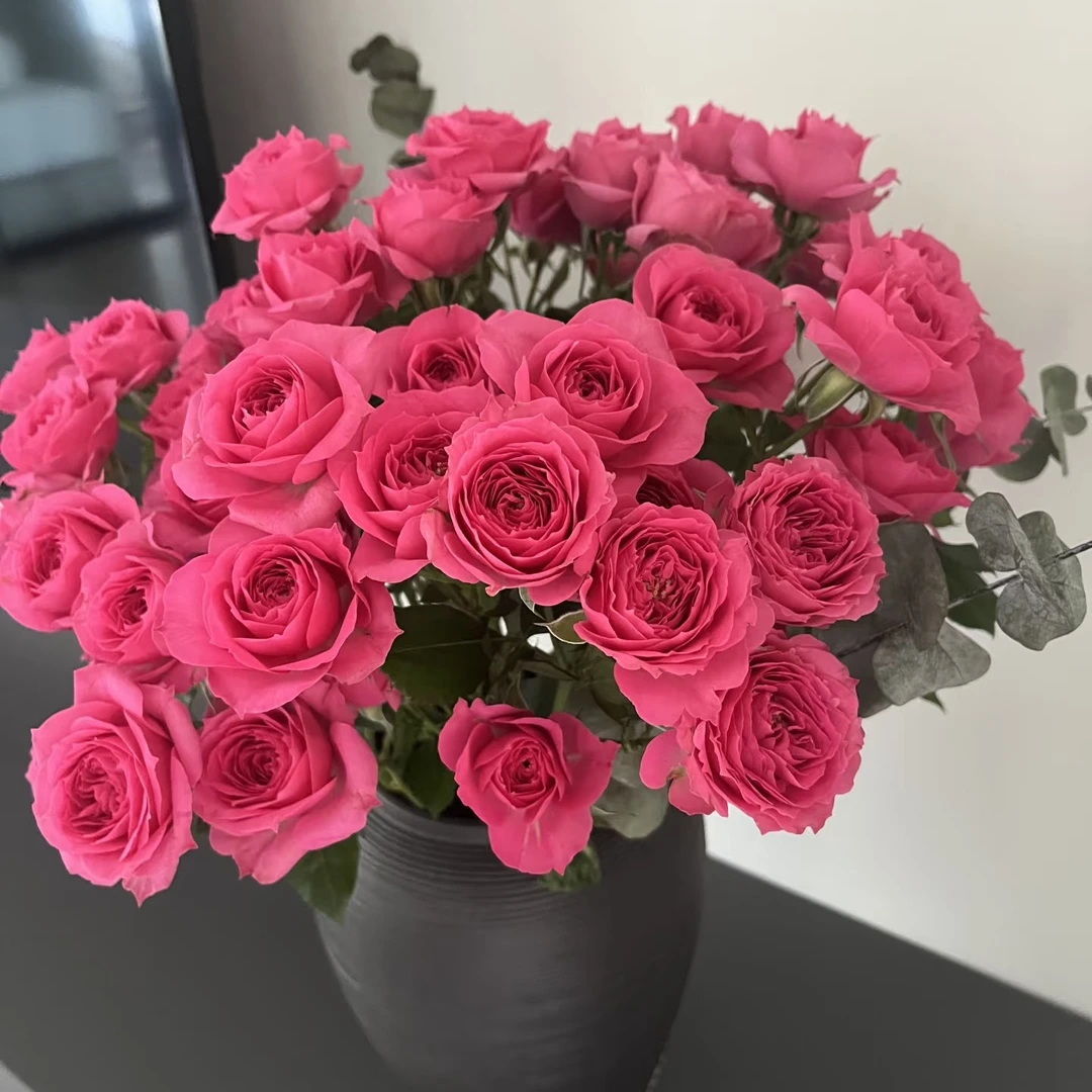 【苏菲宝贝】多头玫瑰5枝鲜切花家居插瓶