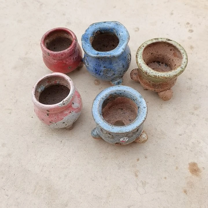 m****9专拍花盆5个1255488455