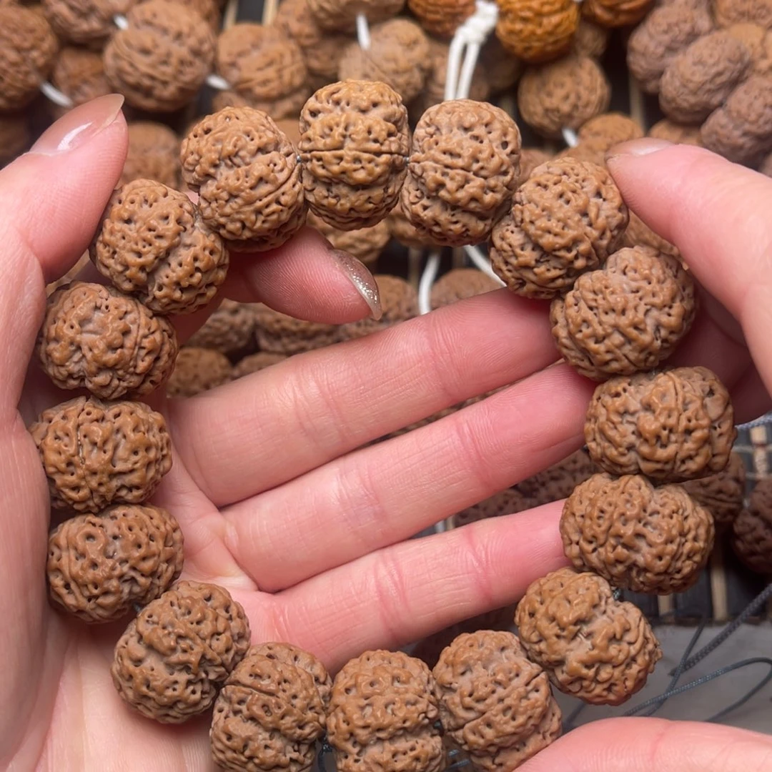 菩提尼泊尔大金刚龙牙梅花22